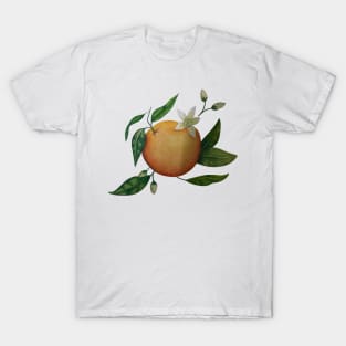 Hand Drawn Oranges T-Shirt